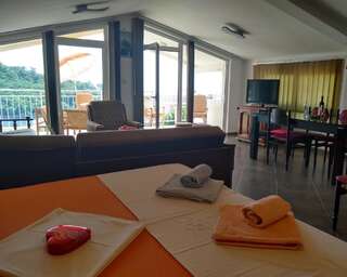 Апартаменты Apartmani Neda Bane Петровац Номер-студио с балконом и видом на море (для 4 взрослых)-4